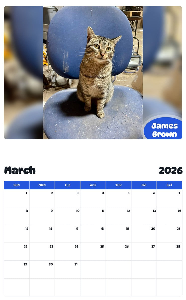 November 2025 - October 2026 James Brown - Pawidols Pet Calendar