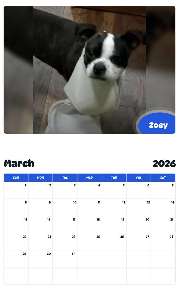 November 2025 - October 2026 Zoey - Pawidols Pet Calendar