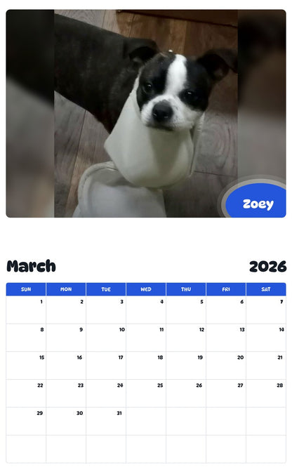 November 2025 - October 2026 Zoey - Pawidols Pet Calendar