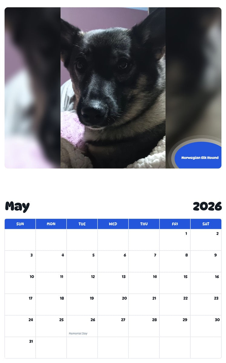 2026 - 2027 Norwegian Elk Hound - Pawidols Pet Calendar