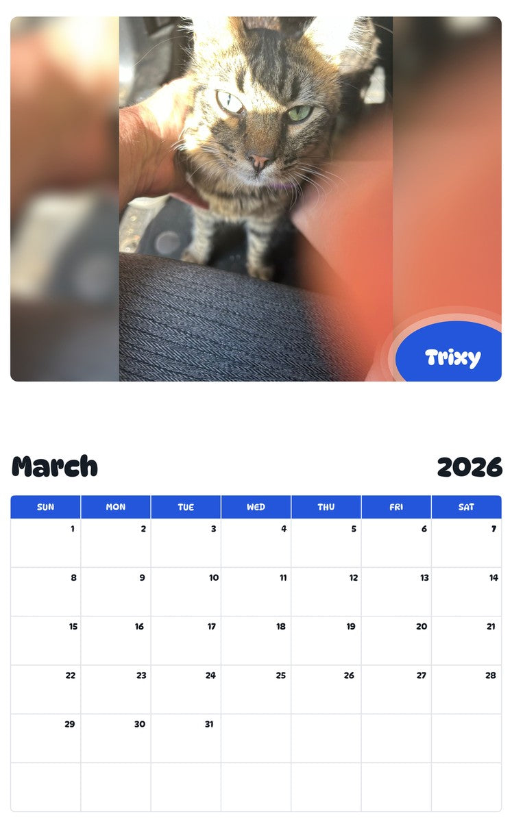 November 2025 - October 2026 Trixy - Pawidols Pet Calendar