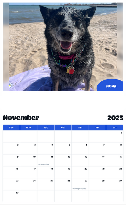 July 2025 - June 2026 Nova - Pawidols Pet Calendar
