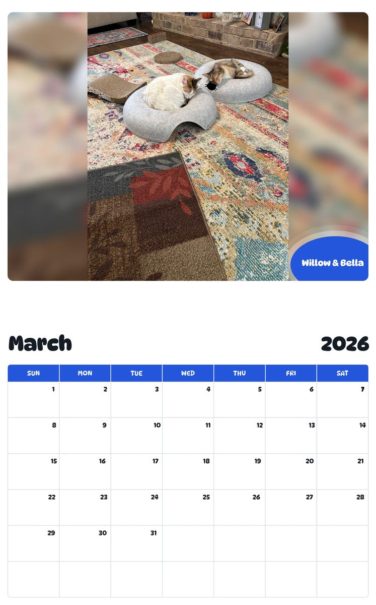 November 2025 - October 2026 Willow & Bella - Pawidols Pet Calendar