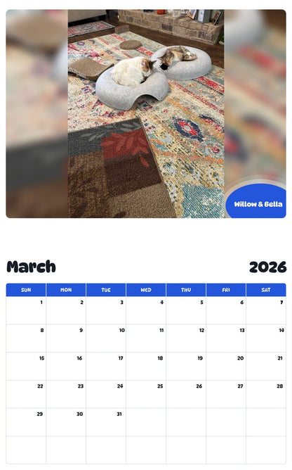 November 2025 - October 2026 Willow & Bella - Pawidols Pet Calendar