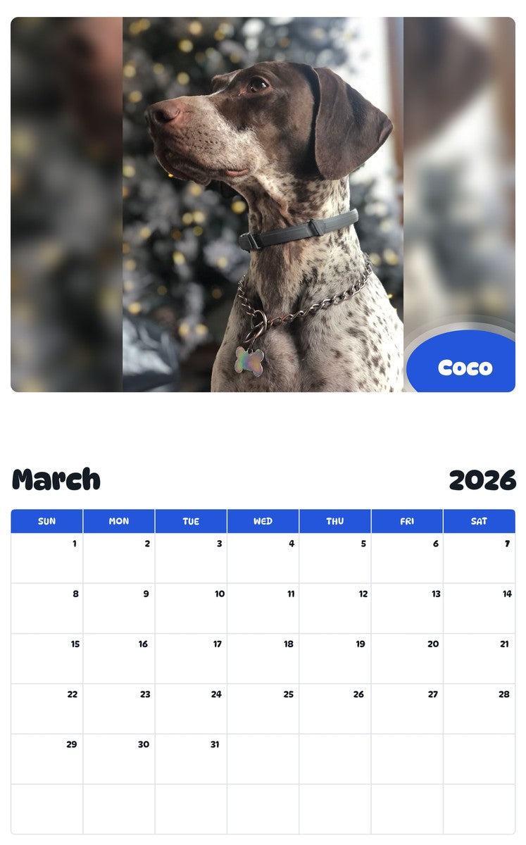 November 2025 - October 2026 Coco - Pawidols Pet Calendar