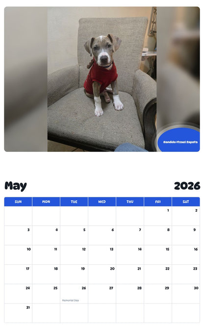 2026 - 2027 Bandido Itzael Zapata - Pawidols Pet Calendar