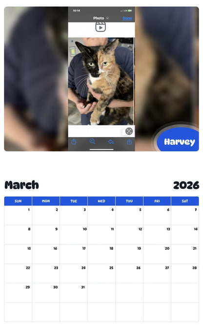 November 2025 - October 2026 Harvey - Pawidols Pet Calendar