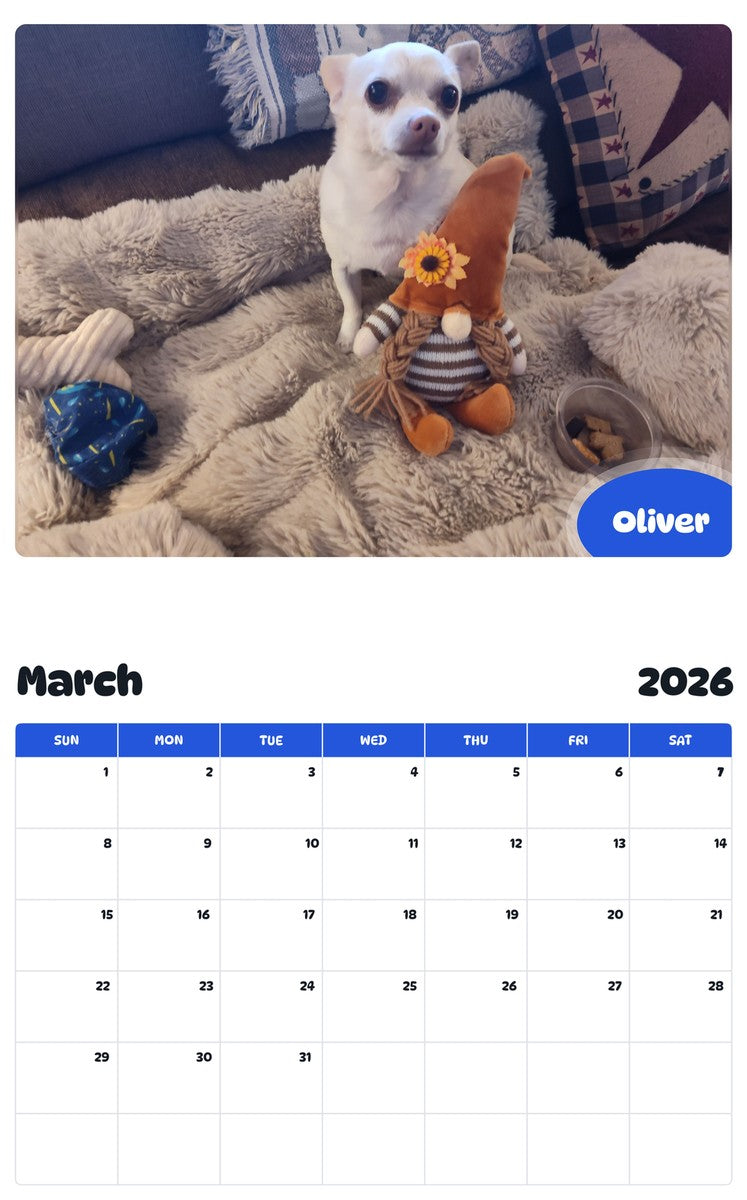 November 2025 - October 2026 Oliver - Pawidols Pet Calendar