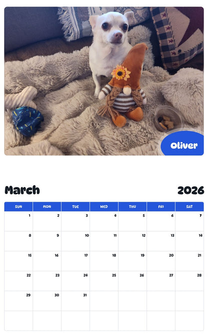 November 2025 - October 2026 Oliver - Pawidols Pet Calendar