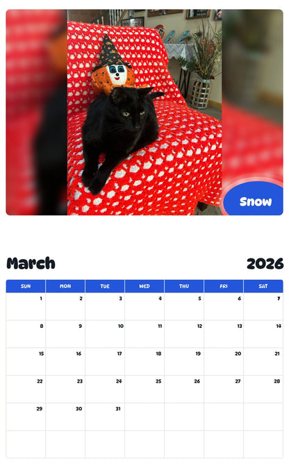 November 2025 - October 2026 Snow - Pawidols Pet Calendar