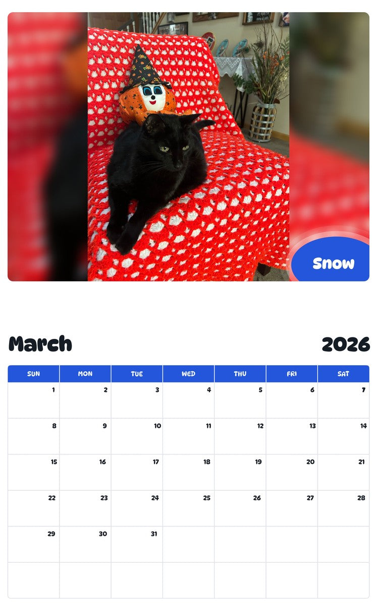 November 2025 - October 2026 Snow - Pawidols Pet Calendar