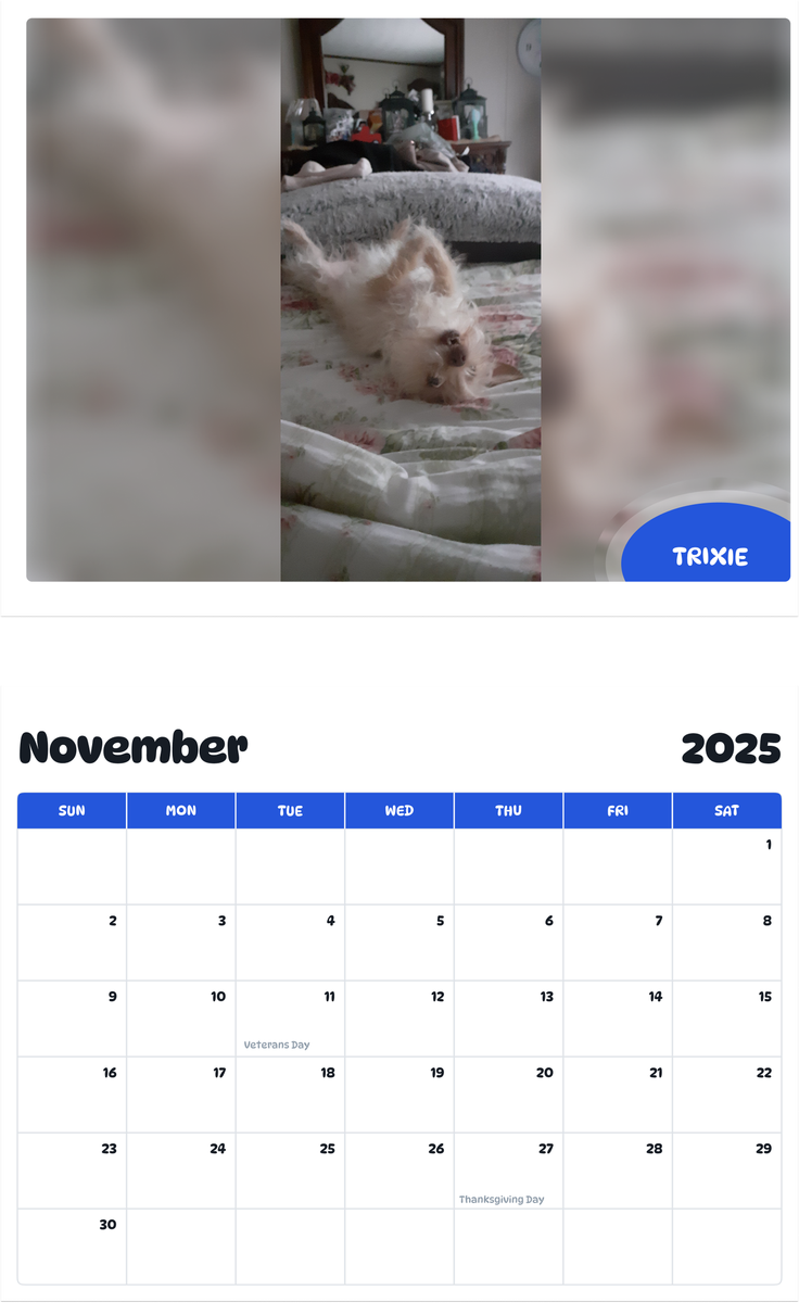 July 2025 - June 2026 trixie - Pawidols Pet Calendar