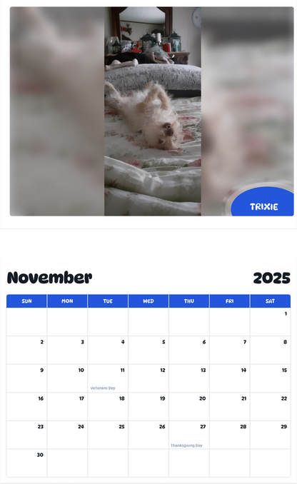 July 2025 - June 2026 trixie - Pawidols Pet Calendar
