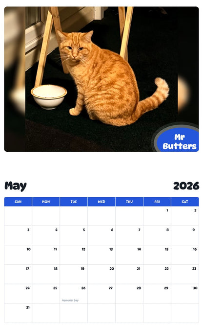 2026 - 2027 Mr Butters - Pawidols Pet Calendar