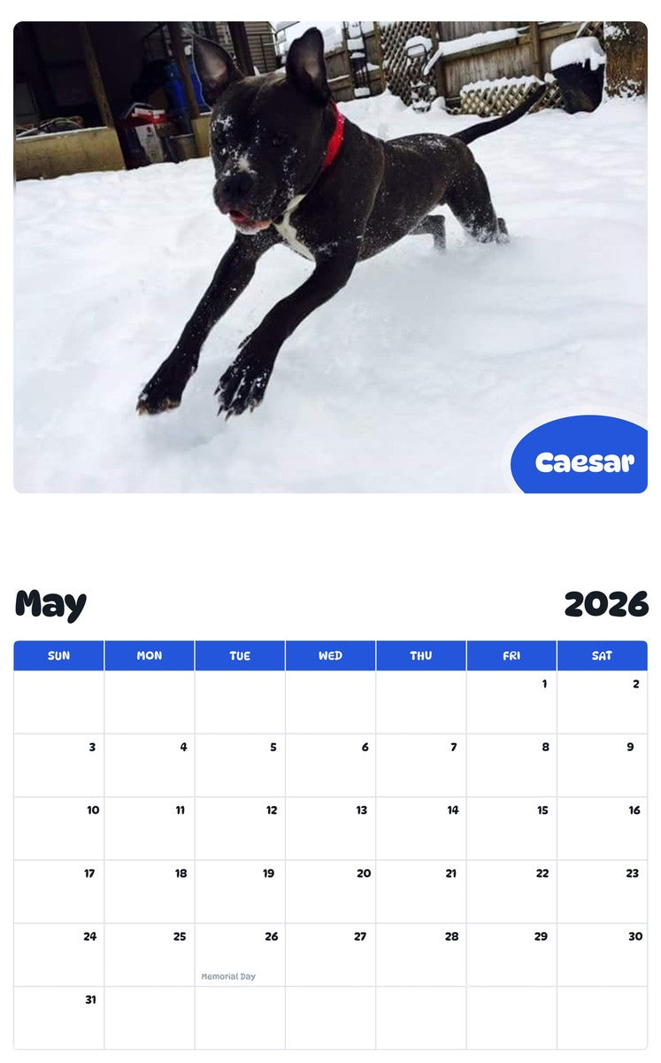 2026 - 2027 Caesar - Pawidols Pet Calendar