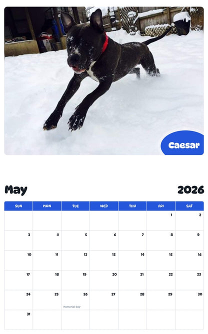 2026 - 2027 Caesar - Pawidols Pet Calendar