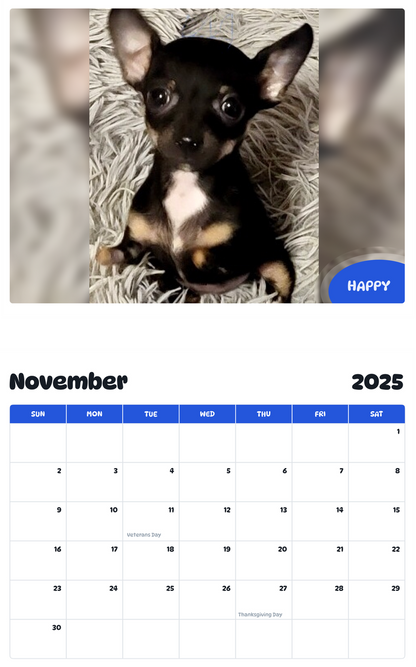 July 2025 - June 2026 Happy - Pawidols Pet Calendar