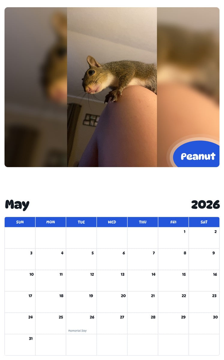2026 - 2027 Peanut - Pawidols Pet Calendar