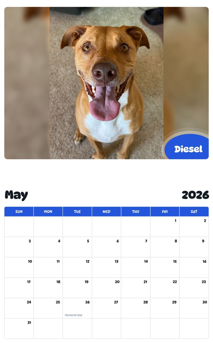 2026 - 2027 Diesel - Pawidols Pet Calendar
