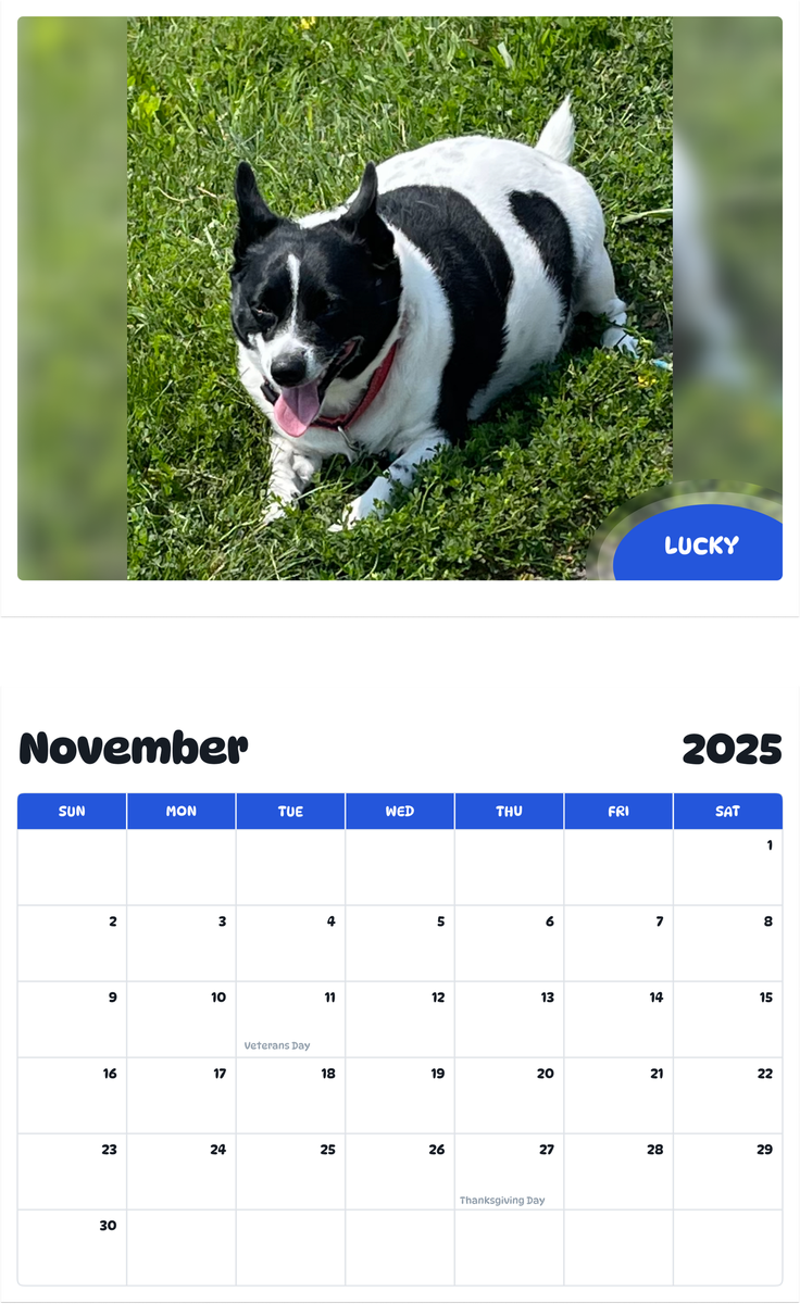 July 2025 - June 2026 Lucky - Pawidols Pet Calendar