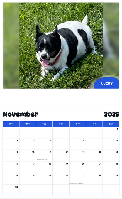 July 2025 - June 2026 Lucky - Pawidols Pet Calendar