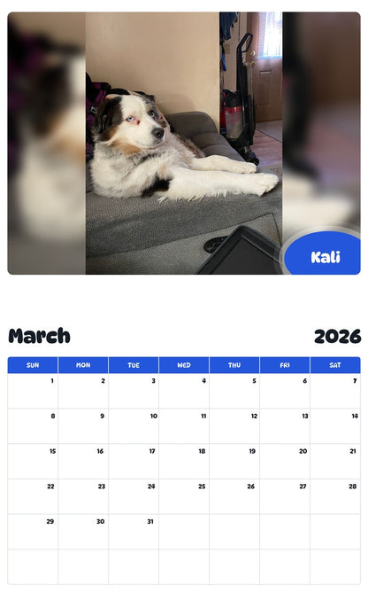November 2025 - October 2026 Kali - Pawidols Pet Calendar