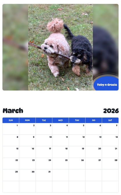 November 2025 - October 2026 Toby n Gracie - Pawidols Pet Calendar
