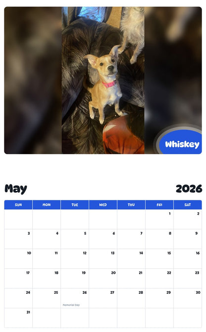 2026 - 2027 Whiskey - Pawidols Pet Calendar