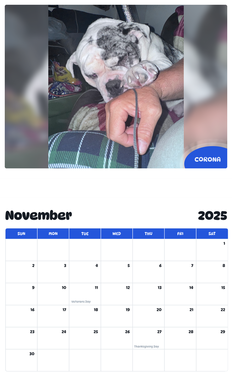 July 2025 - June 2026 Corona - Pawidols Pet Calendar