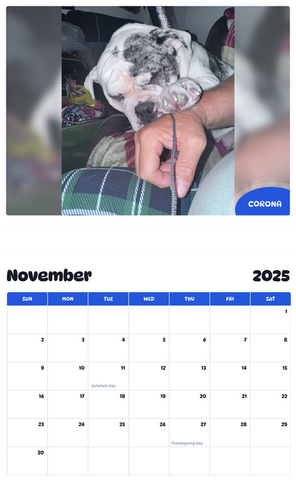 July 2025 - June 2026 Corona - Pawidols Pet Calendar
