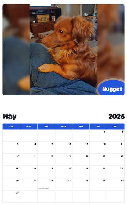 2026 - 2027 Nugget - Pawidols Pet Calendar