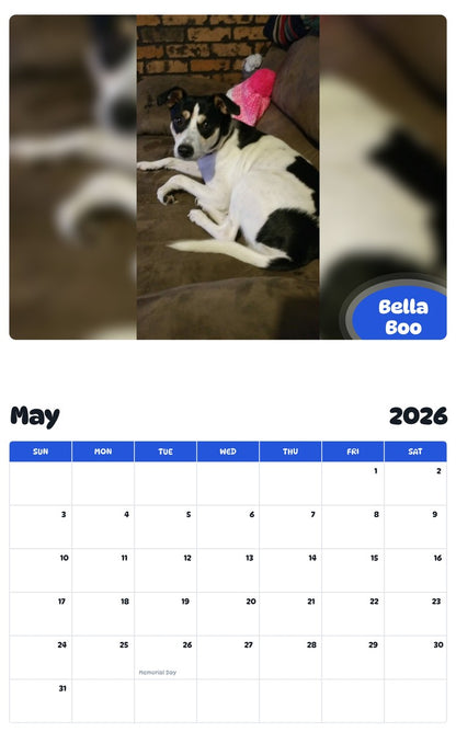 2026 - 2027 Bella Boo - Pawidols Pet Calendar