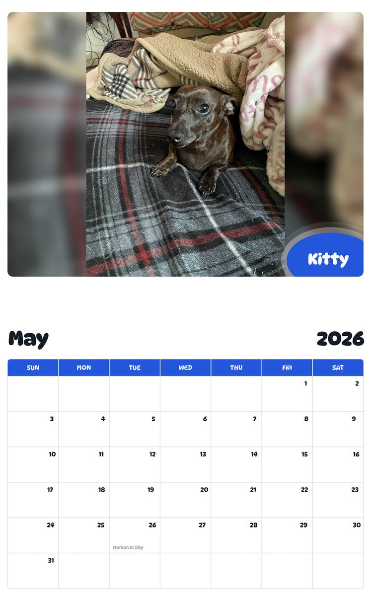 2026 - 2027 Kitty - Pawidols Pet Calendar