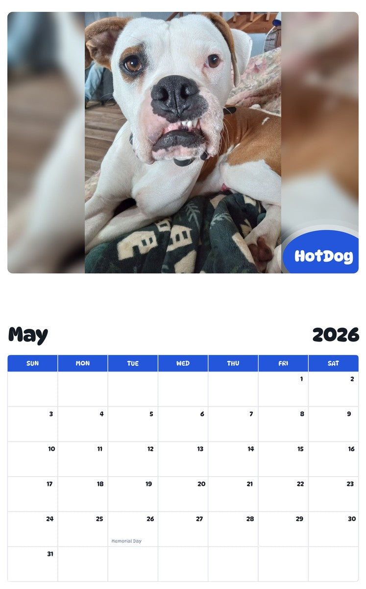2026 - 2027 HotDog - Pawidols Pet Calendar