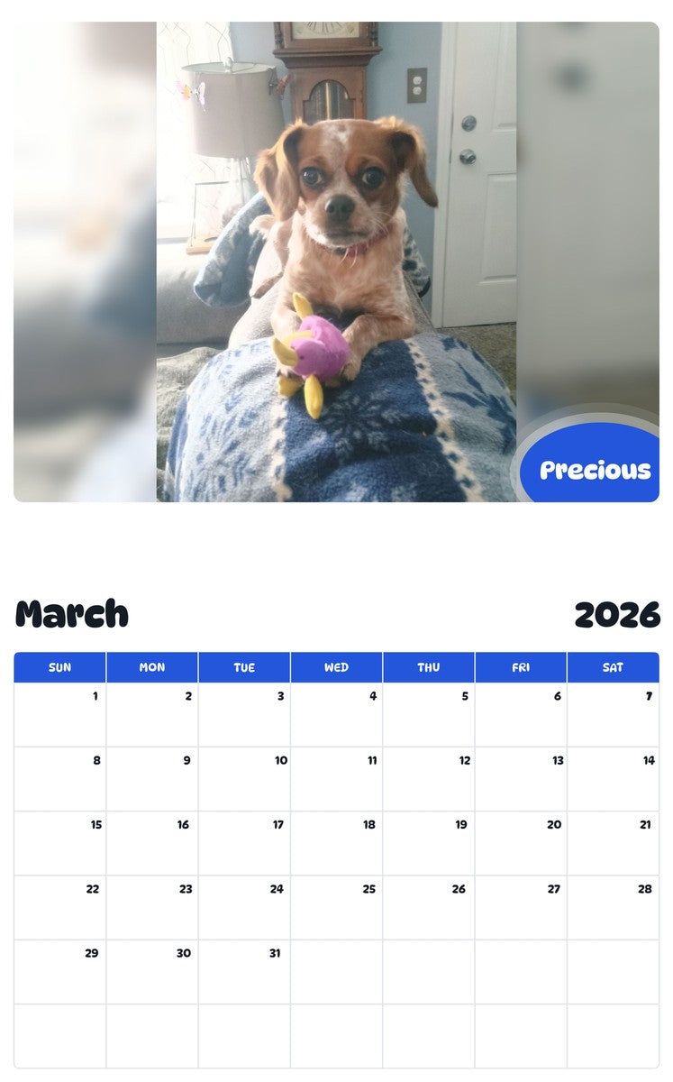 November 2025 - October 2026 Precious - Pawidols Pet Calendar