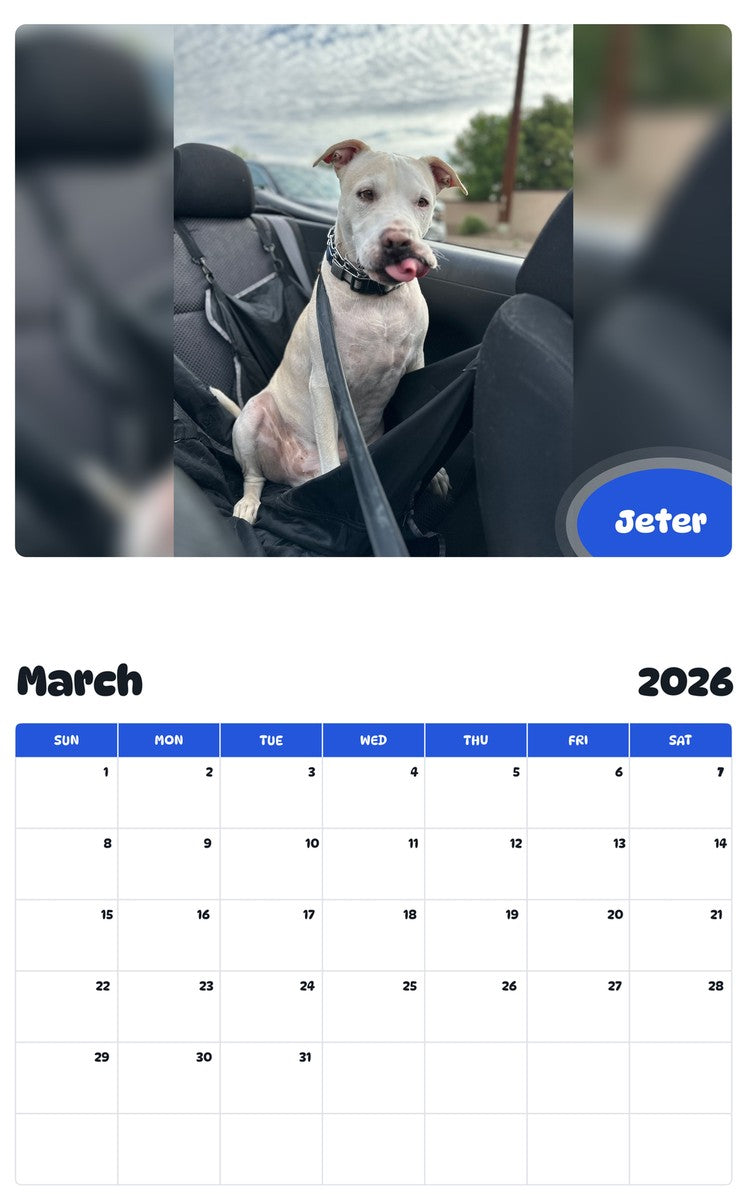 November 2025 - October 2026 Jeter - Pawidols Pet Calendar
