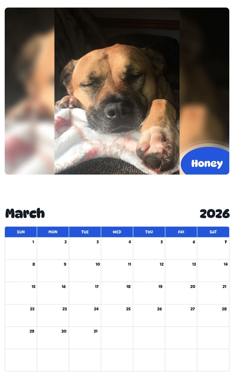 November 2025 - October 2026 Honey - Pawidols Pet Calendar