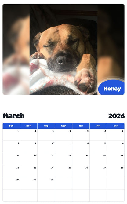 November 2025 - October 2026 Honey - Pawidols Pet Calendar