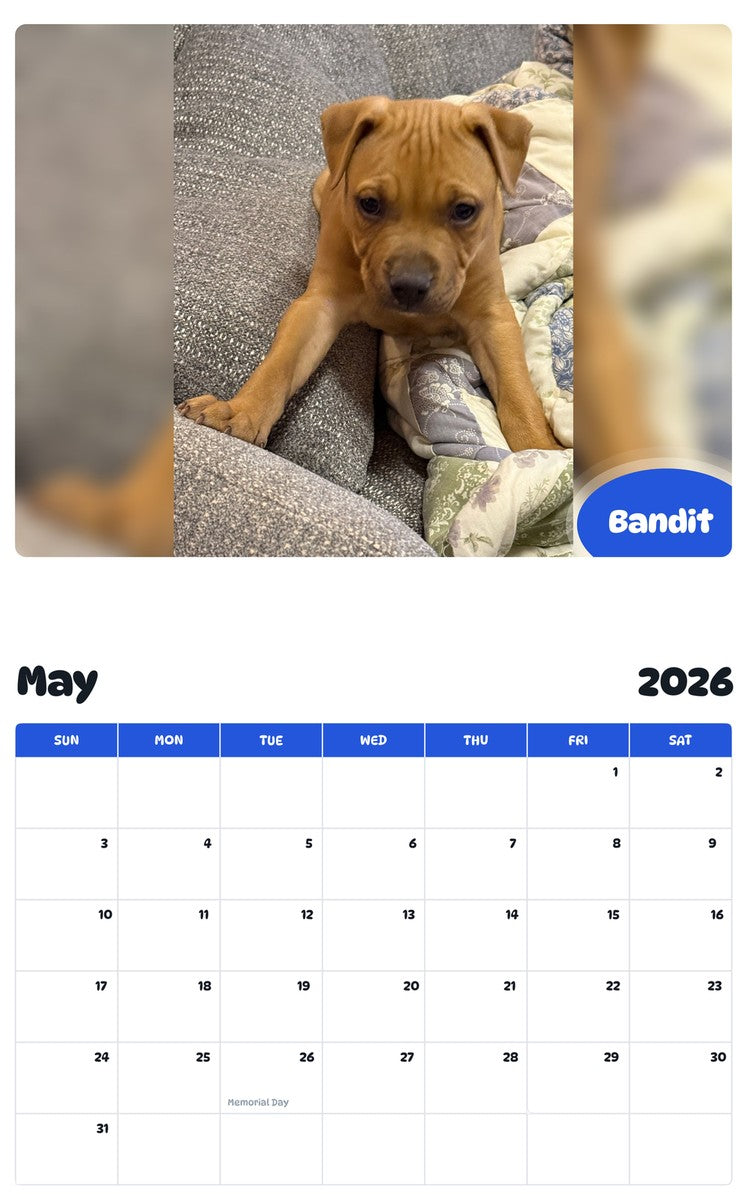 2026 - 2027 Bandit - Pawidols Pet Calendar
