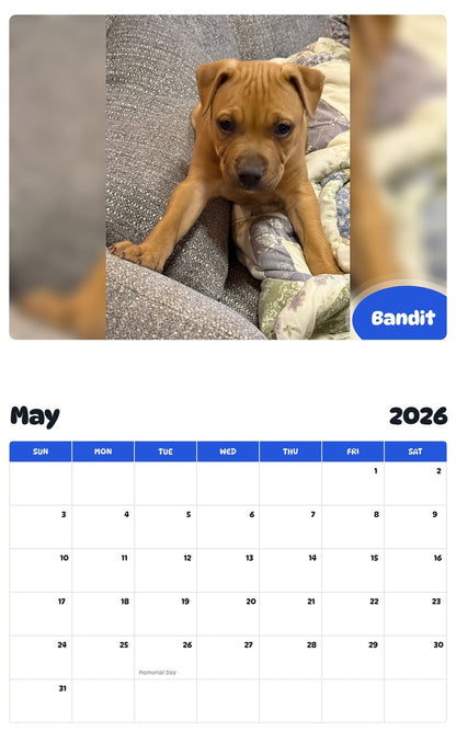 2026 - 2027 Bandit - Pawidols Pet Calendar