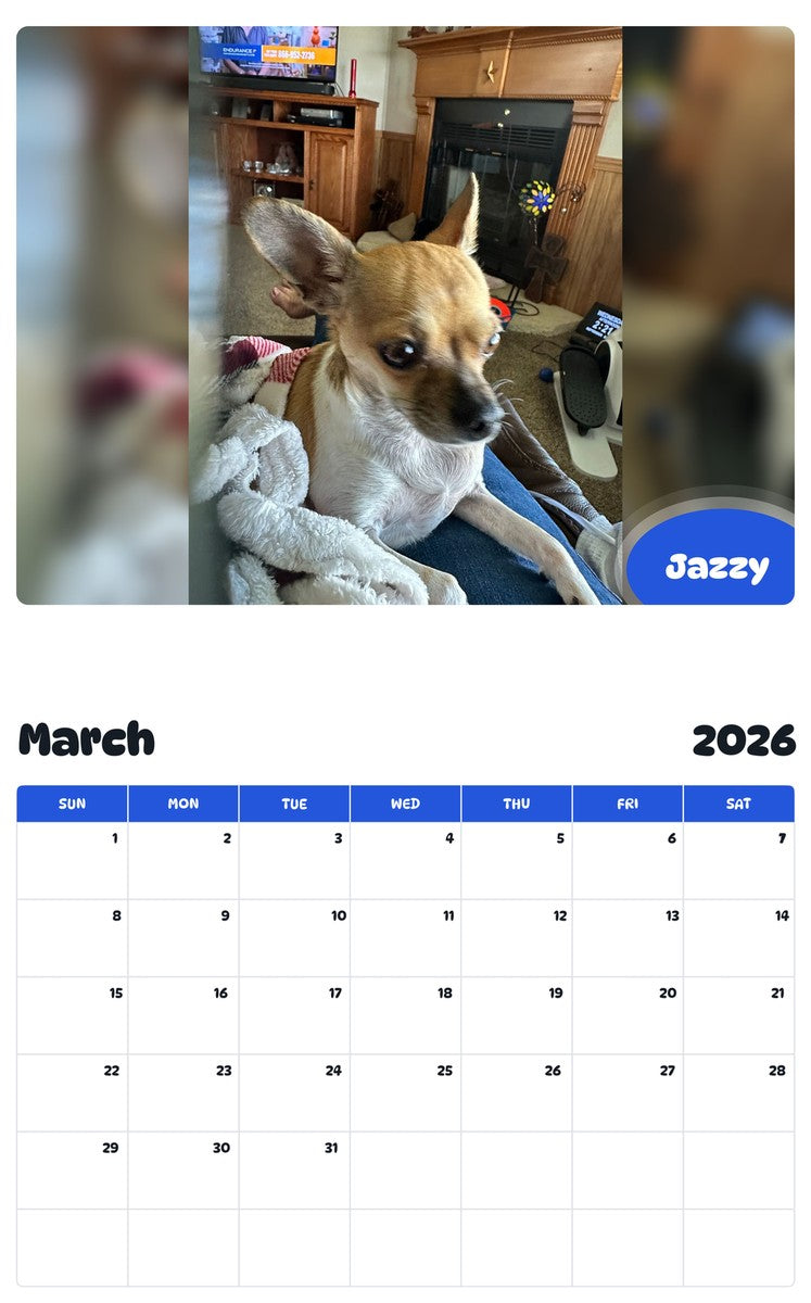 November 2025 - October 2026 Jazzy - Pawidols Pet Calendar
