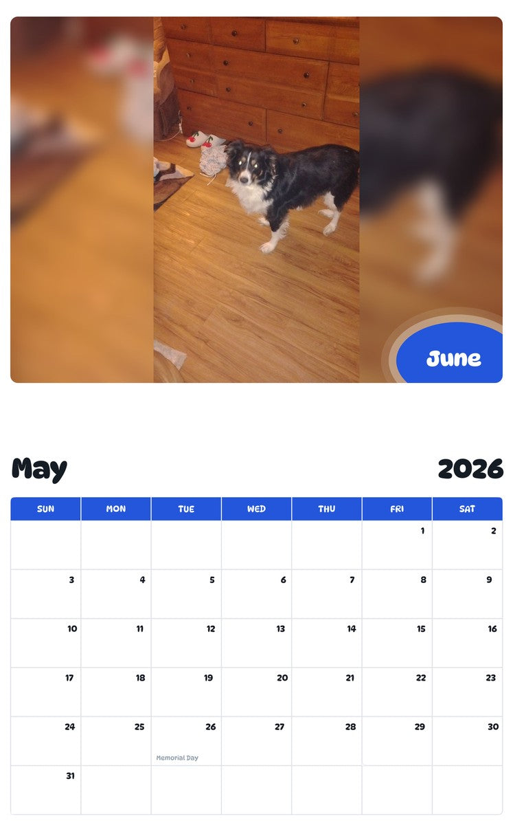 2026 - 2027 June - Pawidols Pet Calendar