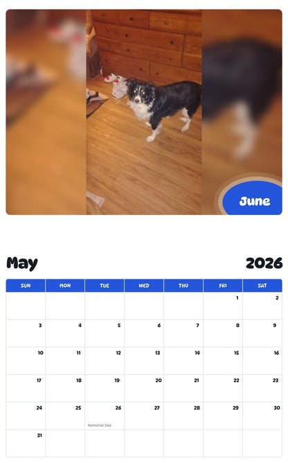 2026 - 2027 June - Pawidols Pet Calendar