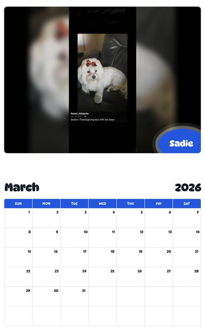 November 2025 - October 2026 Sadie - Pawidols Pet Calendar
