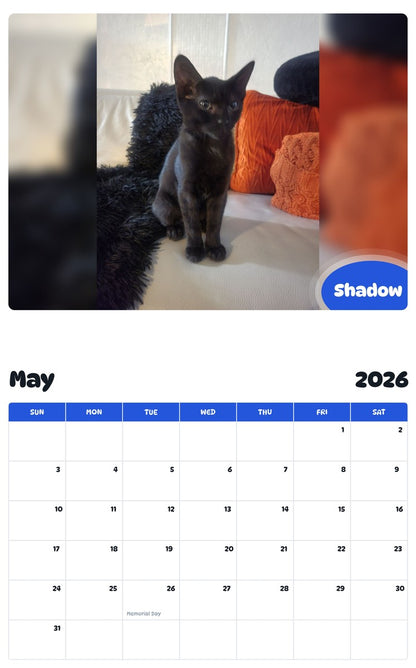 2026 - 2027 Shadow - Pawidols Pet Calendar
