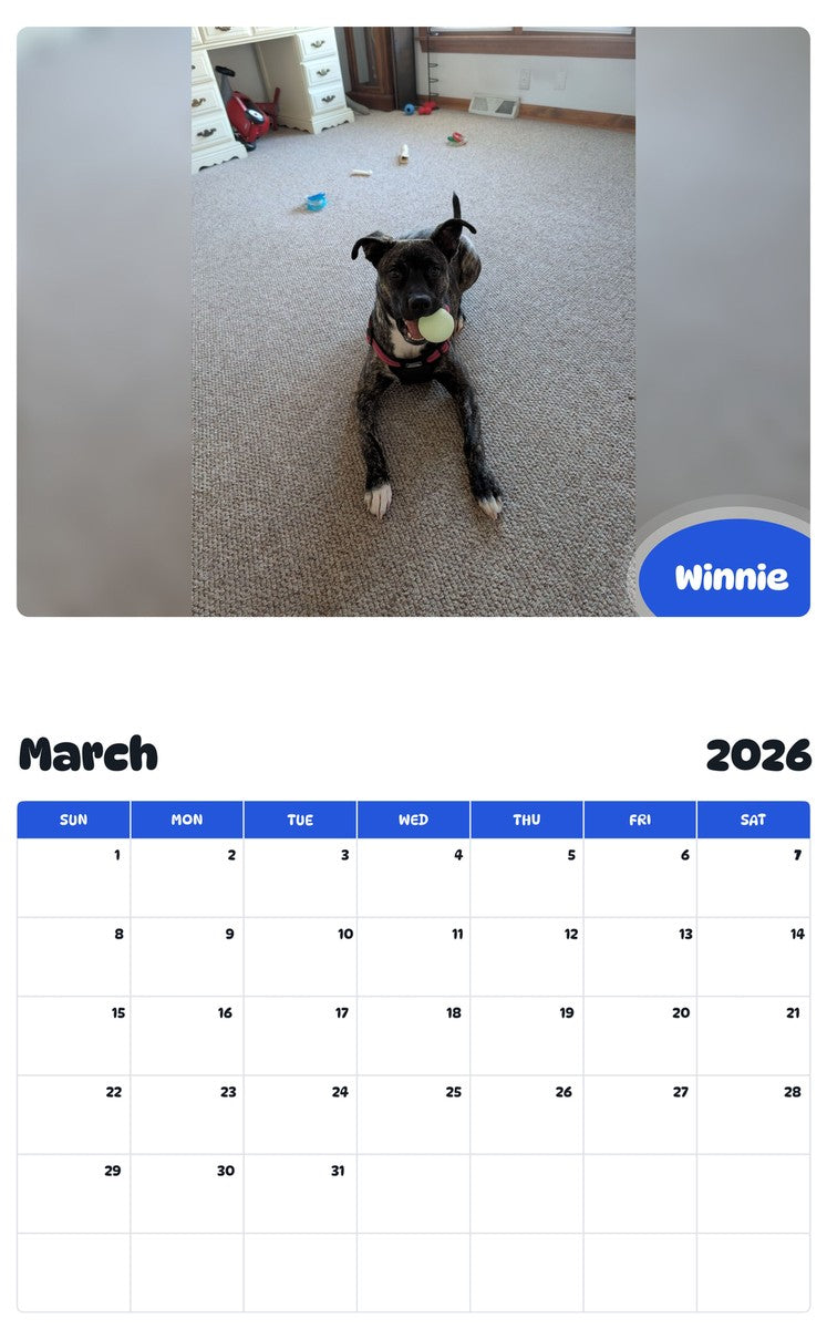 November 2025 - October 2026 Winnie - Pawidols Pet Calendar