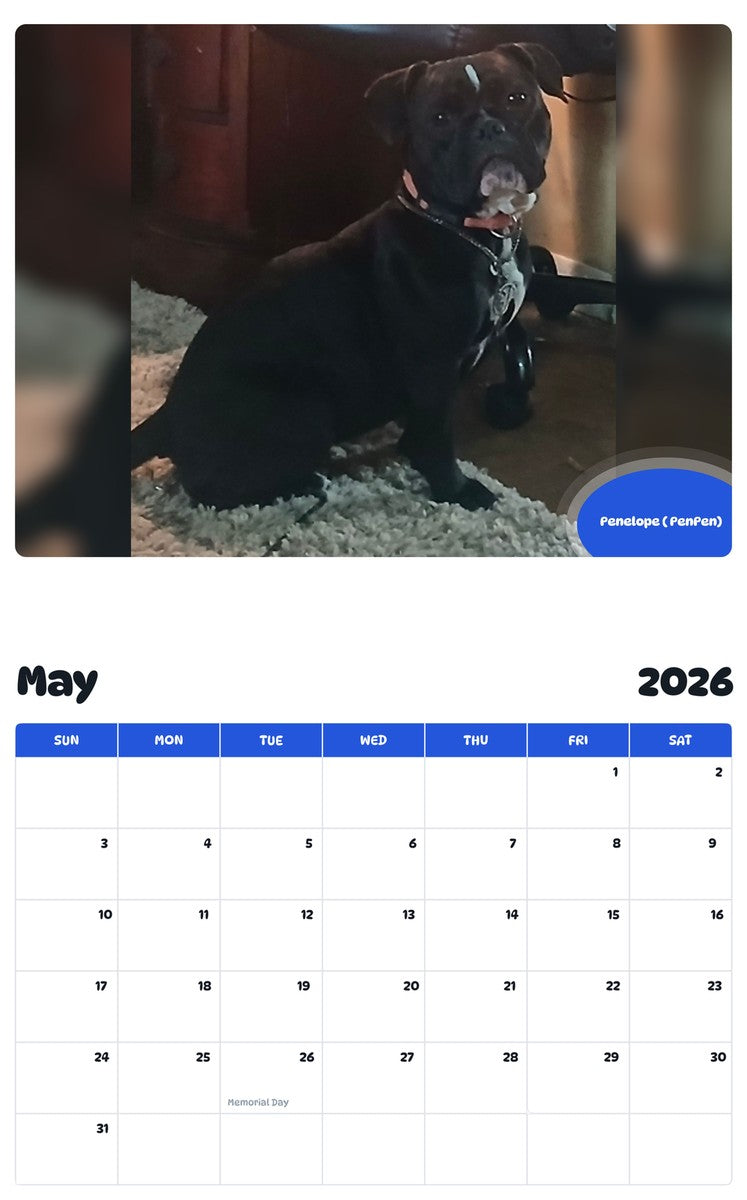 2026 - 2027 Penelope ( PenPen) - Pawidols Pet Calendar