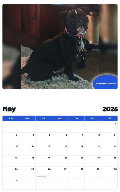 2026 - 2027 Penelope ( PenPen) - Pawidols Pet Calendar