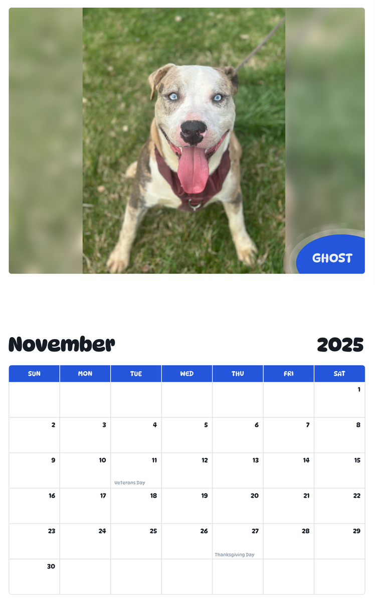 July 2025 - June 2026 Ghost - Pawidols Pet Calendar