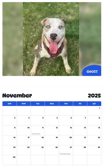 July 2025 - June 2026 Ghost - Pawidols Pet Calendar